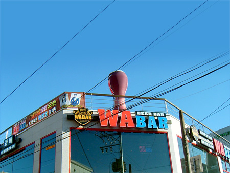 ���� ����1