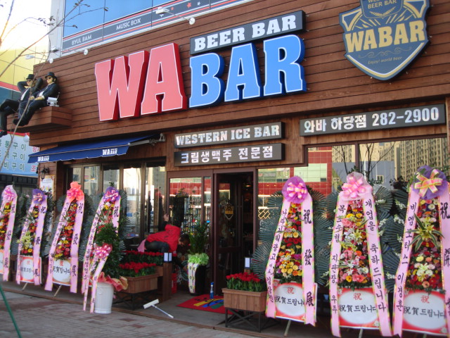 ���� ����1