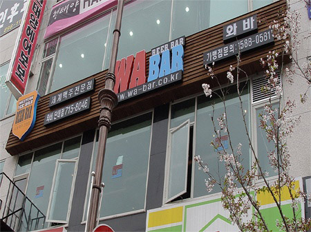 ���� ����1