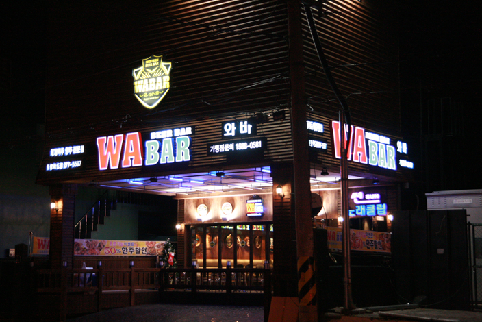 ���� ����1