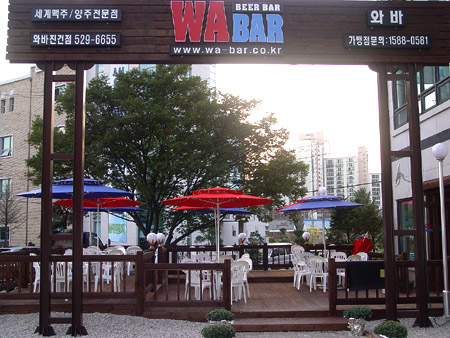 ���� ����1