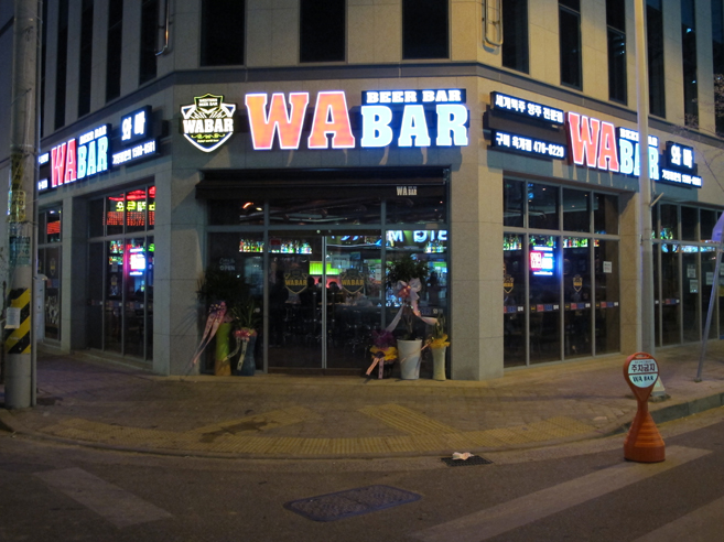 ���� ����1